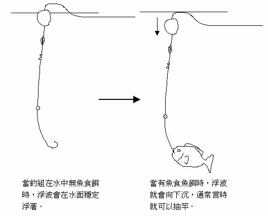 矶钓渔具及其他图片