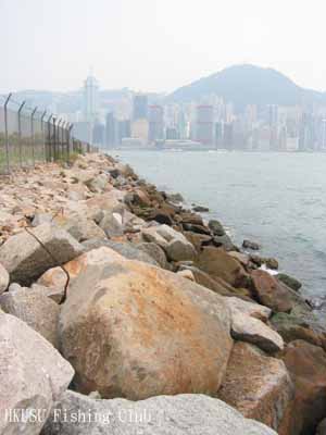 矶钓渔具及其他图片