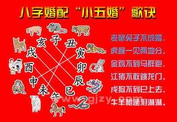 生活知识:服装颜色搭配必读 - anshiyan - 告世界人民书