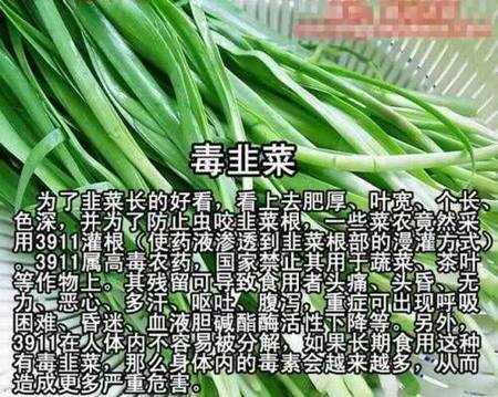 生活知识:服装颜色搭配必读 - anshiyan - 告世界人民书