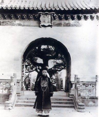 中华民国大事记(1917年)