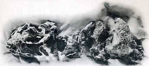 中华人民共和国大事记(1979年)