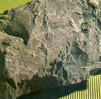 中华人民共和国大事记(1979年)