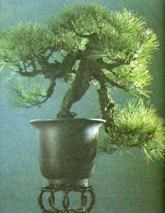 中华人民共和国大事记(1978年)