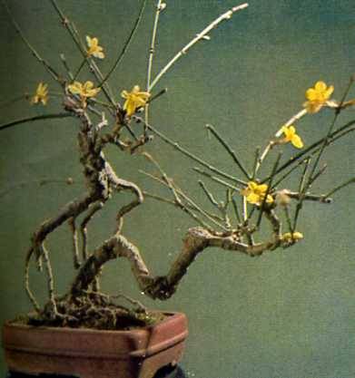 中华人民共和国大事记(1978年)