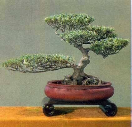 中华人民共和国大事记(1978年)