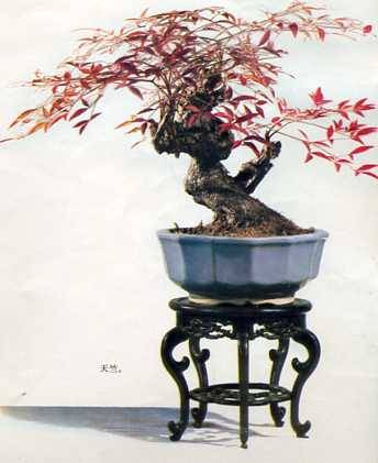 中华人民共和国大事记(1978年)