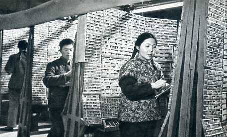 中华人民共和国大事记(1977年)