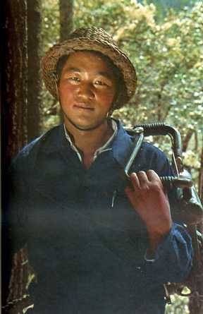 中华人民共和国大事记(1977年)