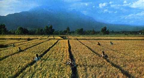 中华人民共和国大事记(1977年)