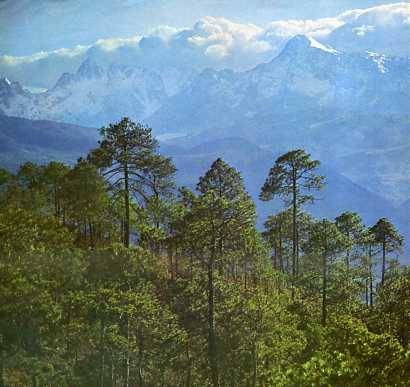 中华人民共和国大事记(1977年)