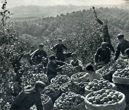 中华人民共和国大事记(1976年)