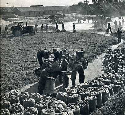 中华人民共和国大事记(1976年)