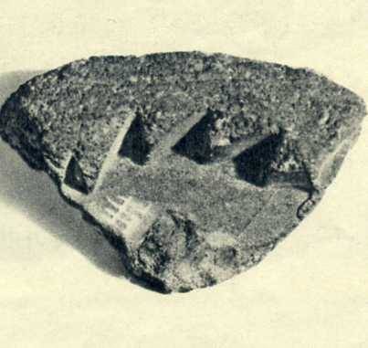 中华人民共和国大事记(1976年)