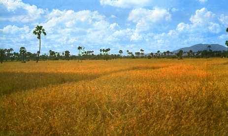 中华人民共和国大事记(1976年)