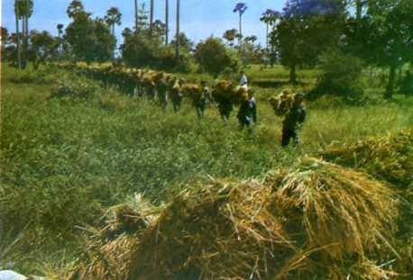 中华人民共和国大事记(1976年)