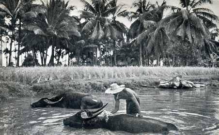 中华人民共和国大事记(1976年)