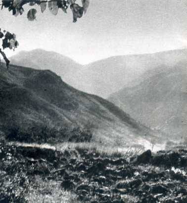 中华人民共和国大事记(1974年)