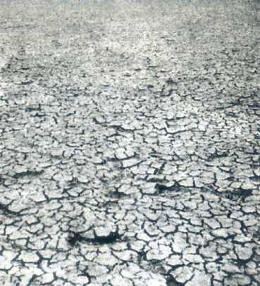 中华人民共和国大事记(1974年)