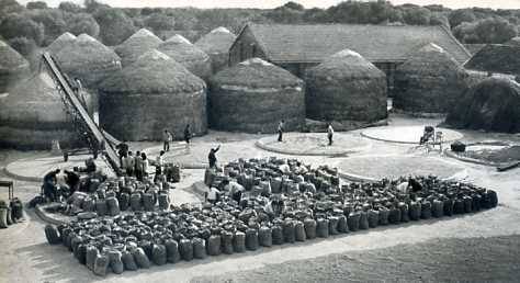 中华人民共和国大事记(1974年)