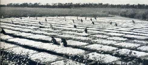 中华人民共和国大事记(1974年)