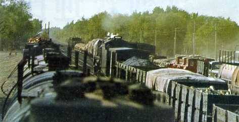 中华人民共和国大事记(1975年)