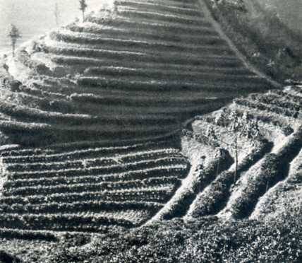 中华人民共和国大事记(1974年)