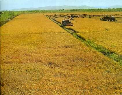 中华人民共和国大事记(1974年)