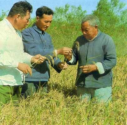 中华人民共和国大事记(1974年)