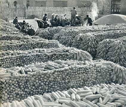 中华人民共和国大事记(1974年)