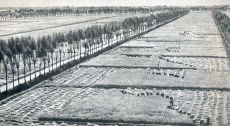 中华人民共和国大事记(1974年)