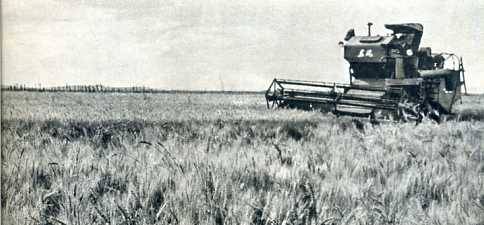 中华人民共和国大事记(1974年)