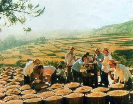 中华人民共和国大事记(1974年)