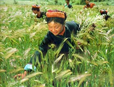 中华人民共和国大事记(1974年)