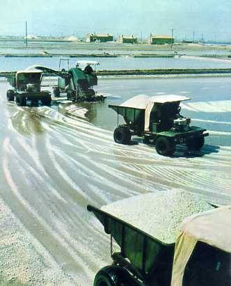 中华人民共和国大事记(1974年)