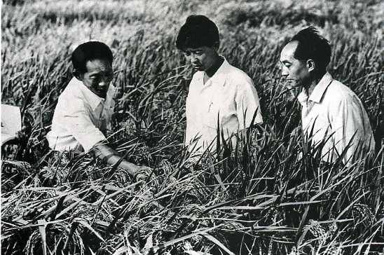 中华人民共和国大事记(1973年)