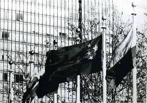 中华人民共和国大事记(1971年)