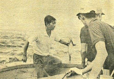 中华人民共和国大事记(1971年)