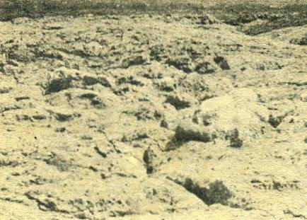 中华人民共和国大事记(1971年)