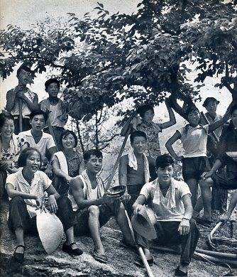 中华人民共和国大事记(1964年)