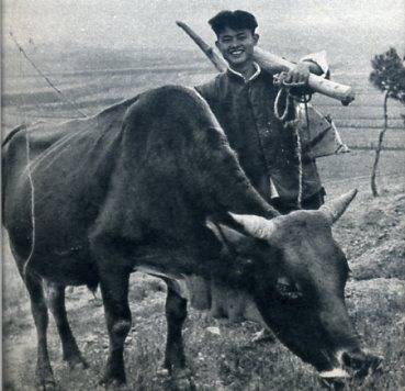 中华人民共和国大事记(1964年)