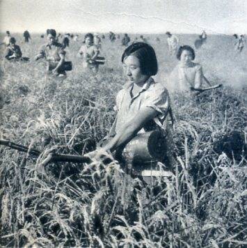 中华人民共和国大事记(1964年)