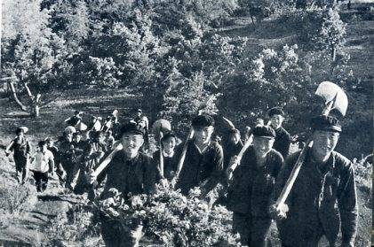 中华人民共和国大事记(1964年)