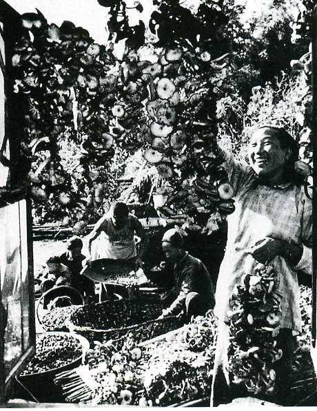 中华人民共和国大事记(1962年)