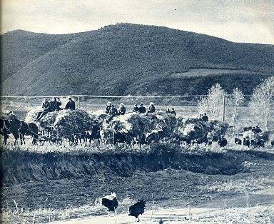 中华人民共和国大事记(1962年)