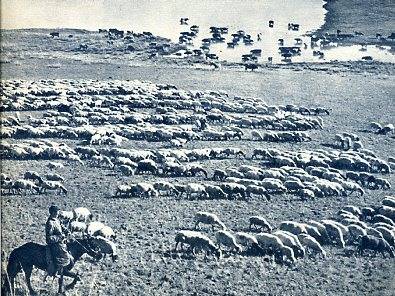 中华人民共和国大事记(1962年)