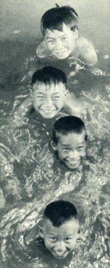 中华人民共和国大事记(1956年)