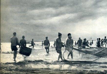 中华人民共和国大事记(1956年)