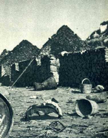 中华人民共和国大事记(1955年)