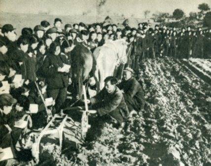 中华人民共和国大事记(1955年)